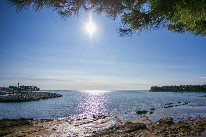 Ferienwohnung für 3 Personen, mit Balkon/Terrasse in Novigrad - 4