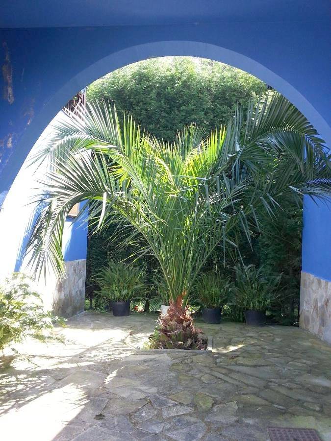 Casa rural para 3 personas, con piscina además de terraza y jardín en Costa Occidental Asturiana - 3