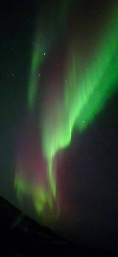 Ferienhaus für 13 Personen, mit Garten und Ausblick in Senja - 2