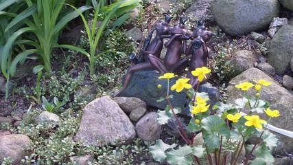 Ferienwohnung für 4 Personen in Nahrendorf, Lüneburger Heide, Bild 4