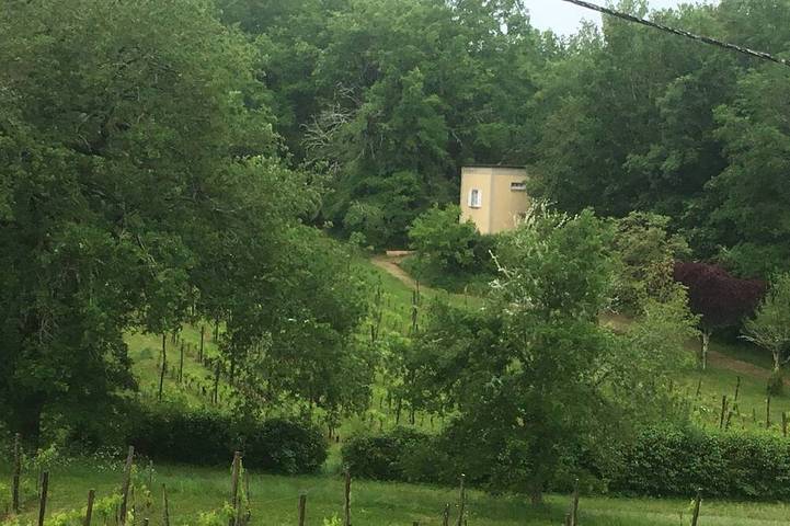 Location de vacances pour 2 personnes, avec jardin et terrasse, animaux acceptés à Veyrines-de-Domme - 4