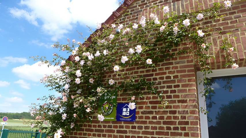 Gîte pour 20 personnes, avec Terrasse et Jardin dans Hauts-de-France