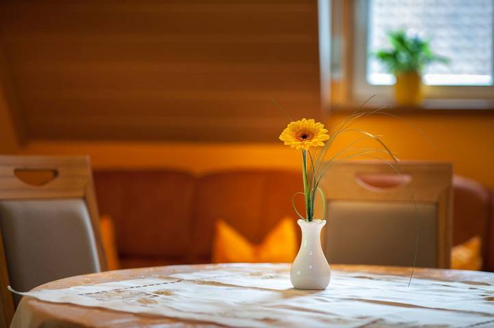 Gîte pour 5 personnes, avec jardin à Zell am Harmersbach - 3