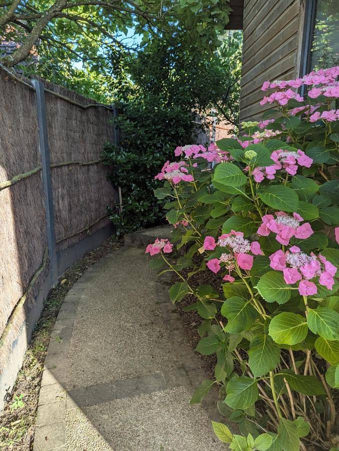 Location de vacances pour 5 personnes, avec vue et jardin à Beaurainville - 3