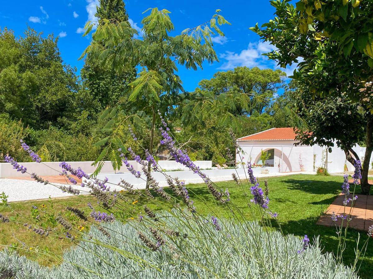 Apartamento inteiro, One-Bedroom Apartment in Leiria, Pousos, Barreira e Cortes, Leiria