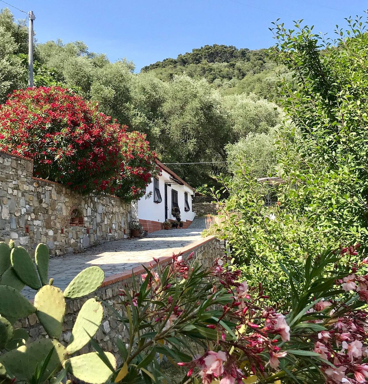Charmantes Ferienhaus Casa Uliveto mit Terrasse und Garten in Diano San Pietro, Riviera di Ponente
