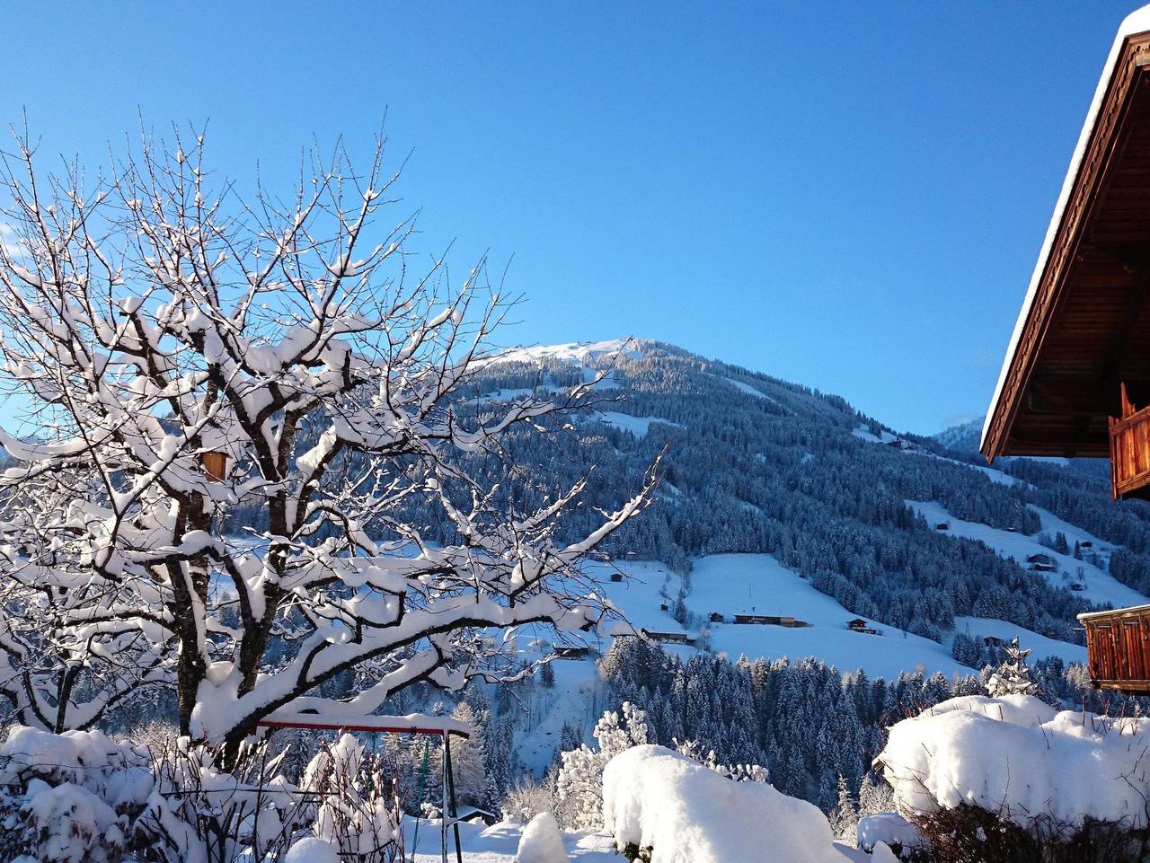 Ganze Ferienwohnung, Fürstenhäusl - Apartment 2-3 Personen (Jade) in Alpbach, Kitzbüheler Alpen