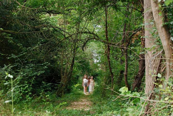 Chambre d’hôte pour 6 personnes, avec jardin et vue en Bourgogne - 3