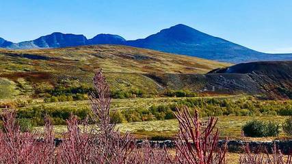 Dom dla 6 osoby w Stor-Elvdal, Innlandet, Zdjęcie 3