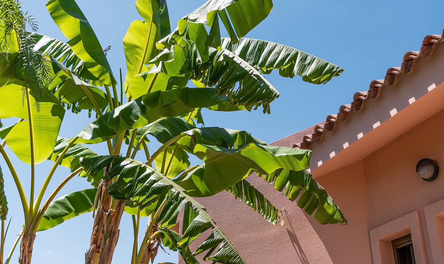 Villa 'Sofia' met Privézwembad, Wi-Fi en Airconditioning in Costa Rei, Muravera
