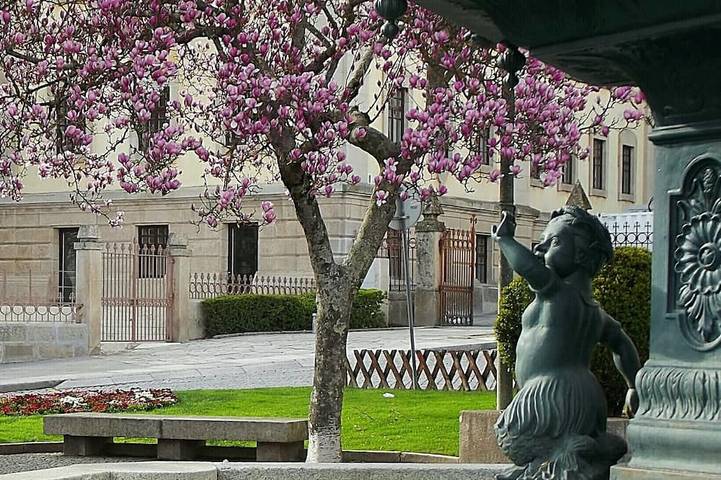 Douro - A casinha da Ana in Vila Real, Douro-Tal