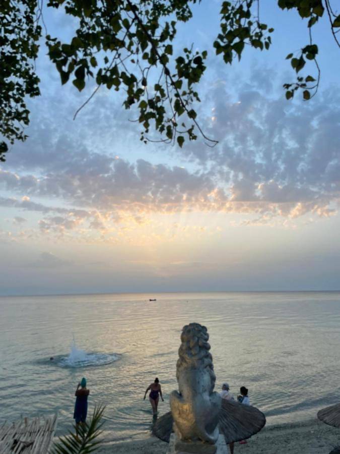 Villa für 6 Personen, mit Ausblick und Kinderpool sowie Garten, mit Haustier in Chalkidiki - 2