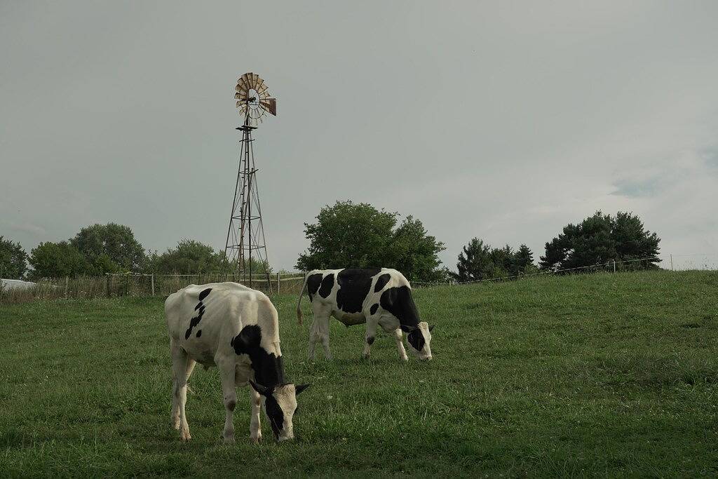 Ganze Wohnung, Berlin Amish Country Für 1-6 Personen in Berlin (OH), Holmes County