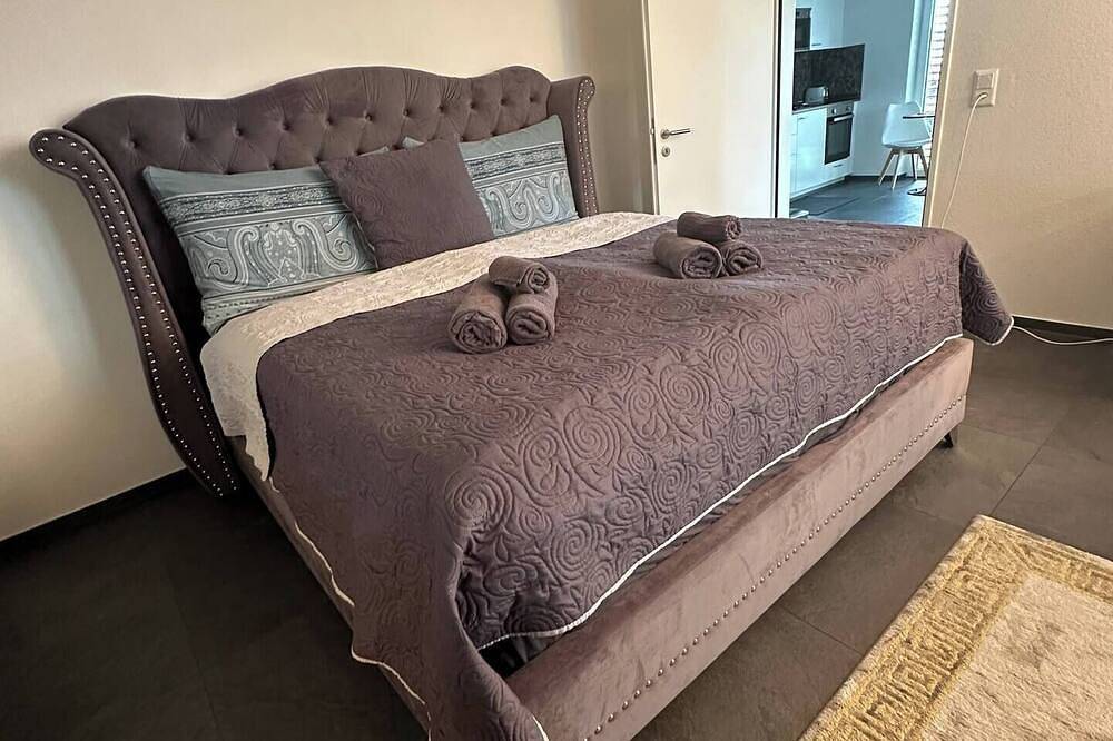 V.I.P. Apartment in Aargau-Basel