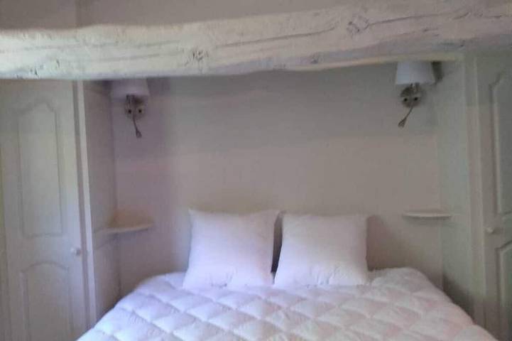 Location de vacances pour 12 personnes, avec sauna ainsi que jacuzzi et jardin, animaux acceptés à Le Bez - 3