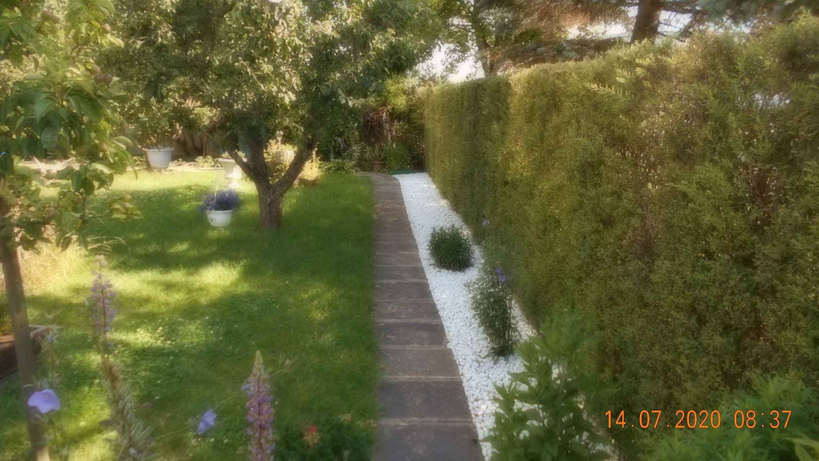Vakantiewoning in Dankerode in het Harzgebergte , foto 7
