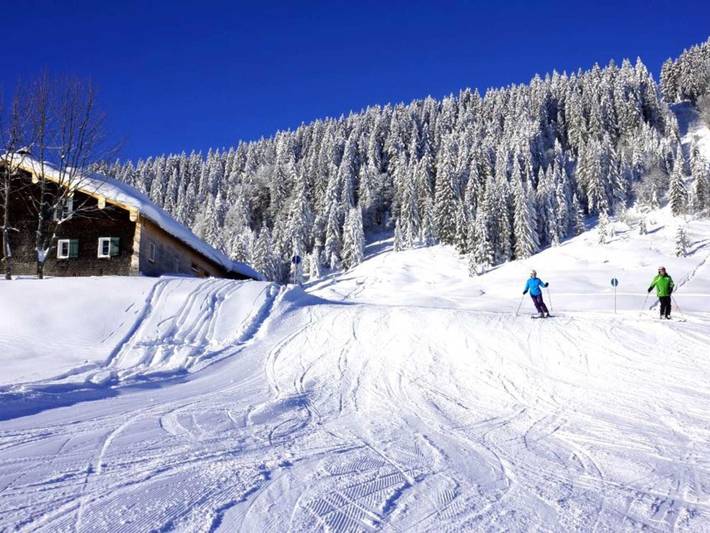 Ferienhaus für 5 Personen, mit Ausblick und Garten in Vorarlberg - 4