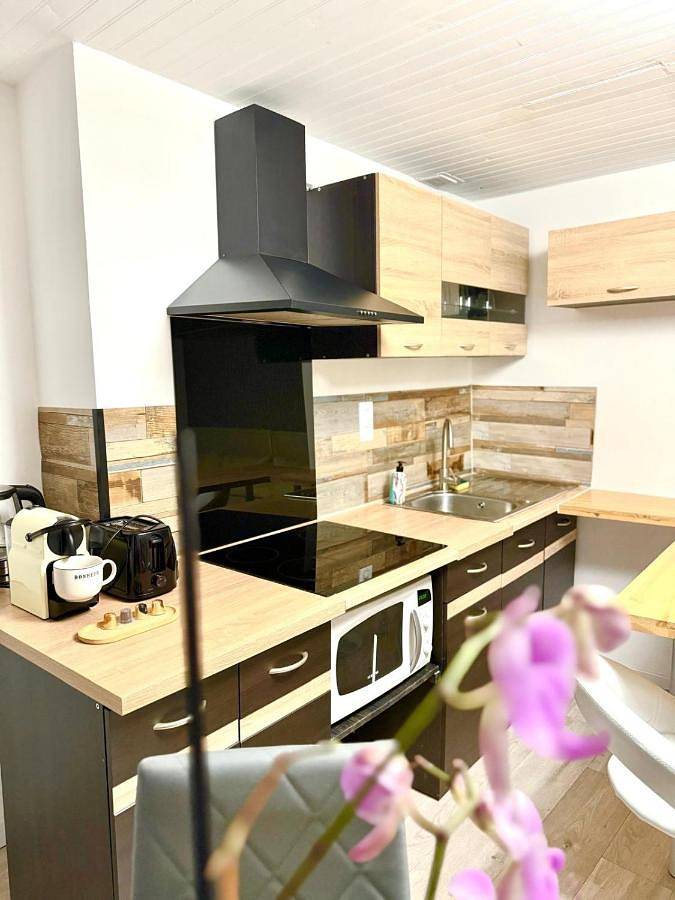 Gîte pour 3 personnes, avec vue à Rive-de-Gier - 2