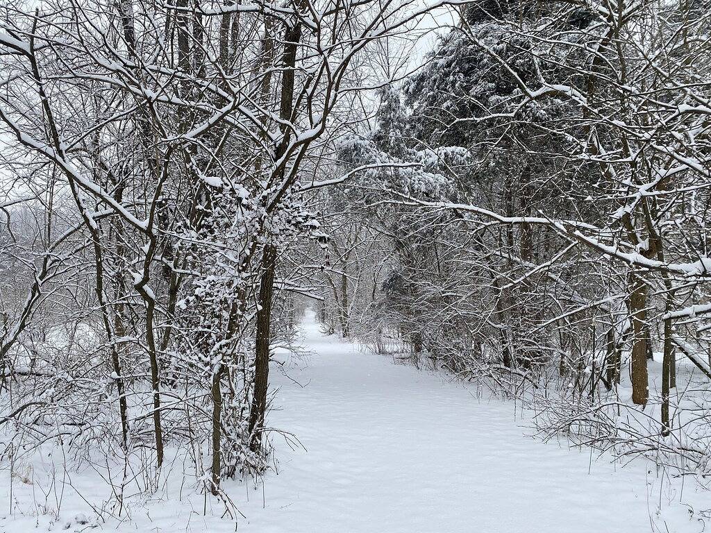 Bear Timbers log cabin on the Shenandoah River in Page County