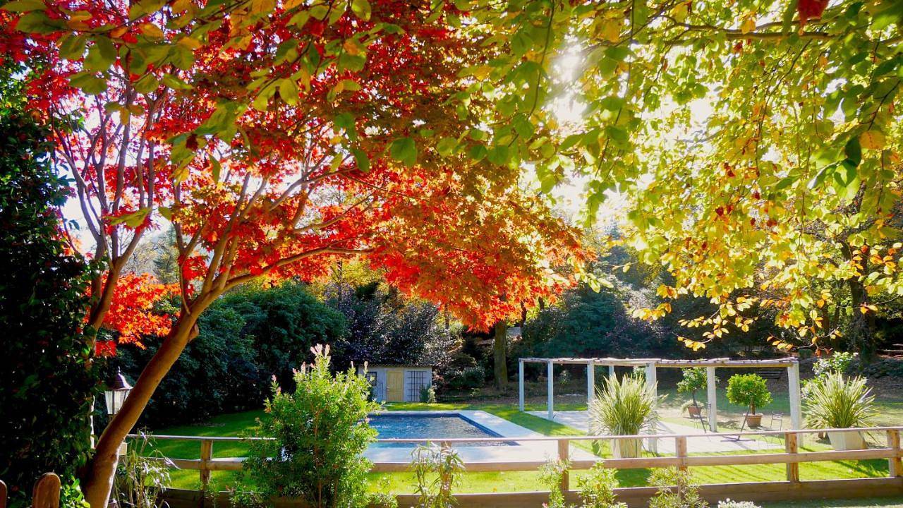 Eco-Resort Parco Botanico Fiorlago in Bracchio, Comune di Mergozzo