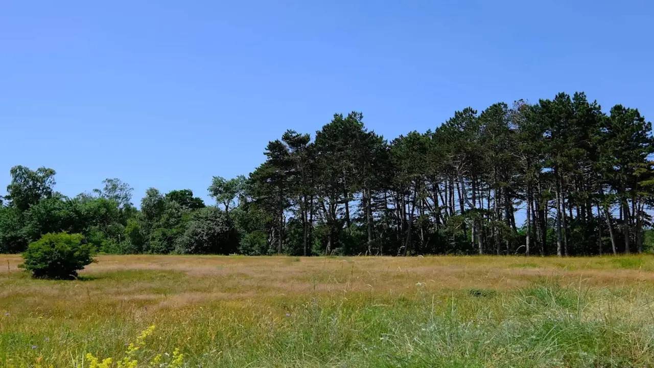 Ferienhaus für 12 Personen (200 m²) in Væggerløse in Væggerløse, Schwedische Ostsee