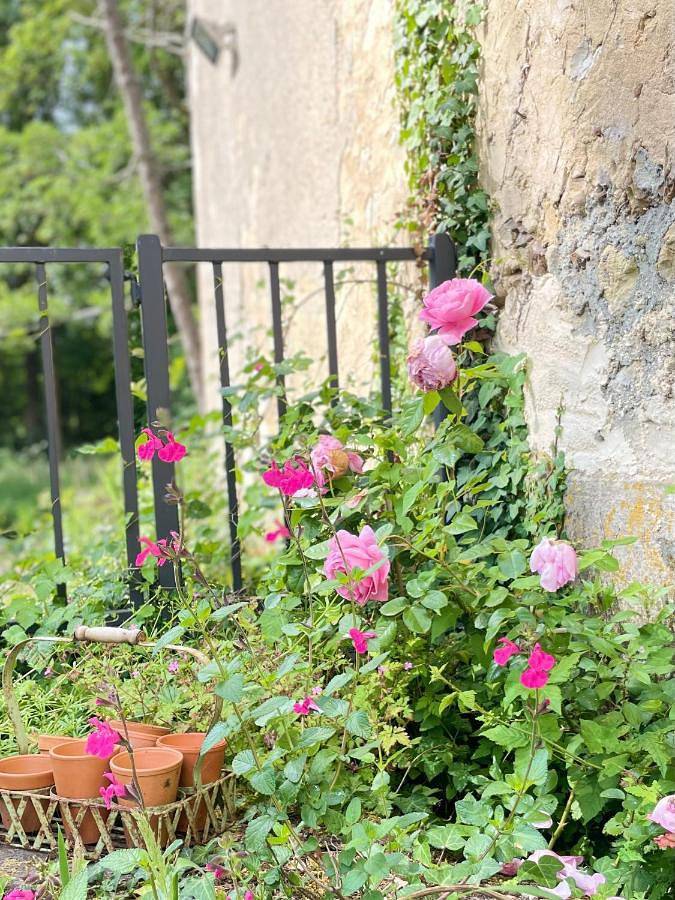 Location de vacances pour 15 personnes, avec jardin et vue dans Rémalard-en-Perche - 4