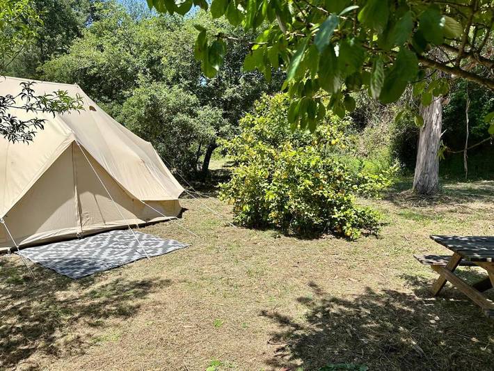 Gîte pour 4 personnes, avec vue et jardin, animaux acceptés à Figueiró dos Vinhos - 4