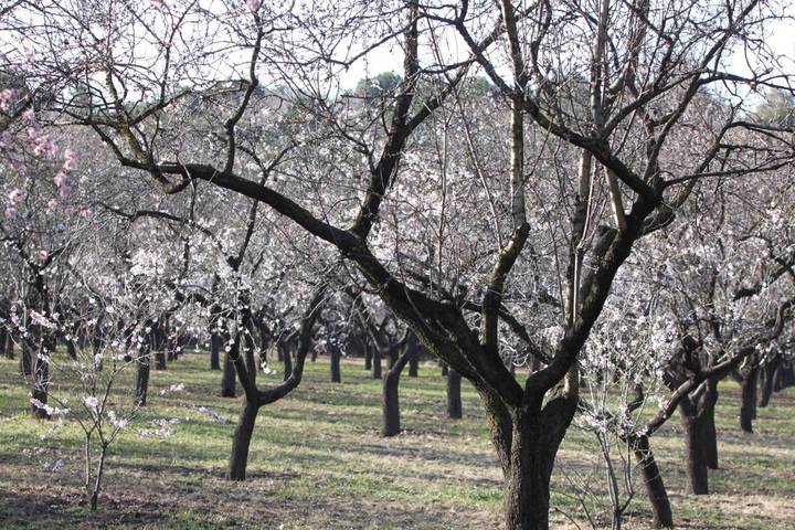 Hostal para 6 personas, con jardín en Extremadura - 3