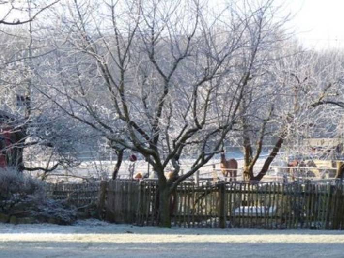 Bauernhaus für 4 Personen, mit Sauna und Garten, kinderfreundlich in Mecklenburgische Seenplatte - 3