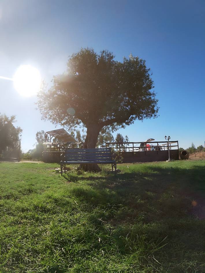 Country House 'Herdade Do Corval' with Mountain View, Wi-Fi and Air Conditioning in Évora District
