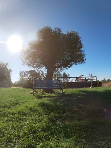 Villa para 10 Pessoas em Sul de Portugal, Portugal, Foto 4