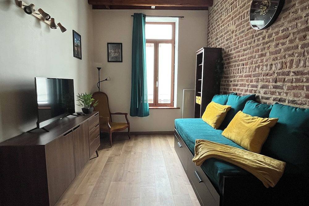 Hel lejlighed, Studio in the heart of Lille in Lille, Lille Området