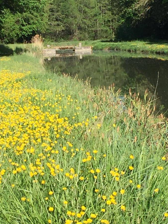 Location de vacances pour 4 personnes, avec jardin et vue, animaux acceptés à Selles-sur-Cher - 4