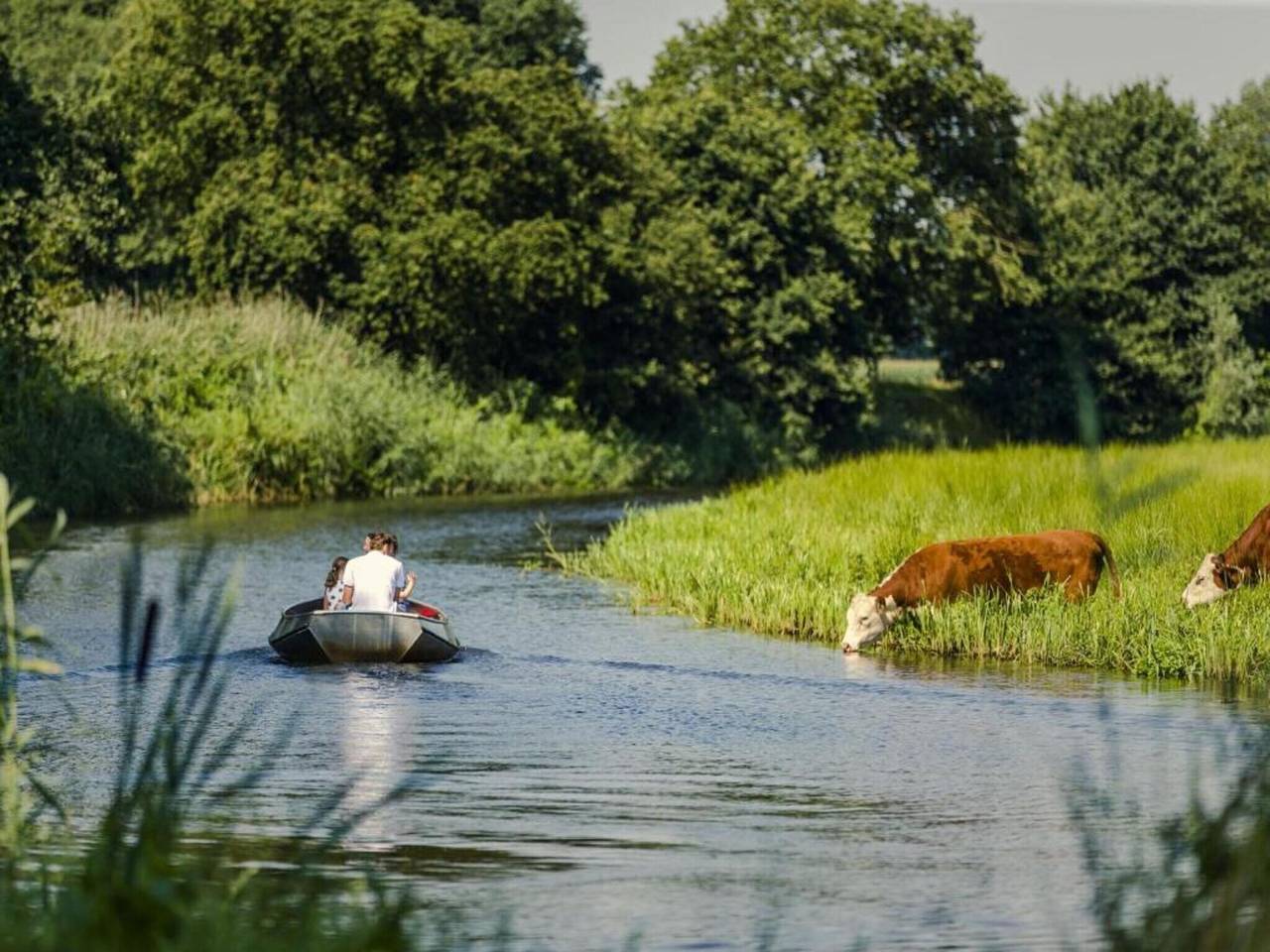 Glamping Tent in Nederland met Pop-Up Sfeer in Sallandse Heuvelrug