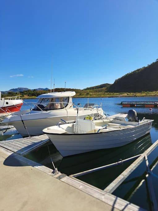 Ferienhaus für 5 Personen, mit Balkon und Terrasse sowie Garten und Seeblick in Vesterålen - 2