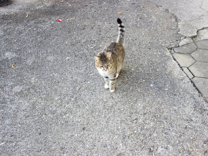 Ferienwohnung für 2 Personen, mit Terrasse und Garten im Allgäu - 2