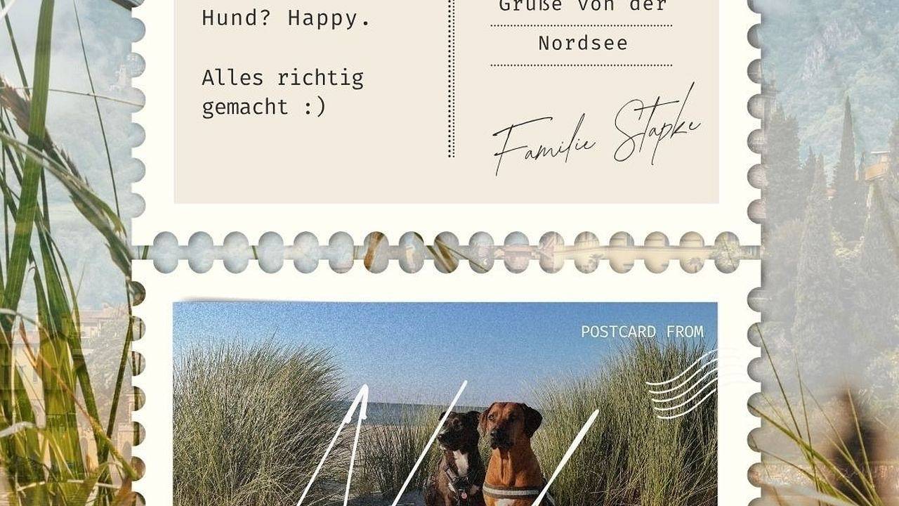 Ganze Ferienwohnung, Ferienwohnung für 5 Personen (100 m²) in Wangerland in Wiarden, Wangerland