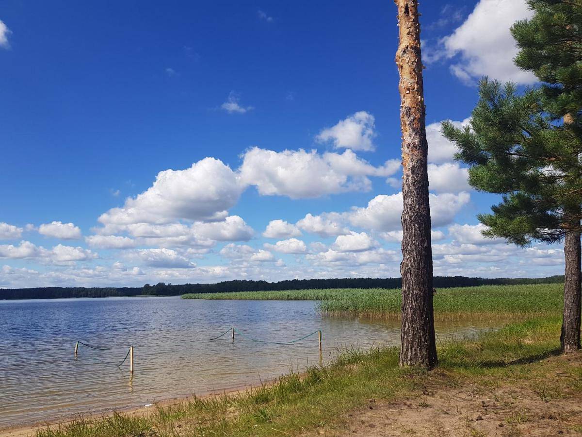 Papartis in starostwo inturskie