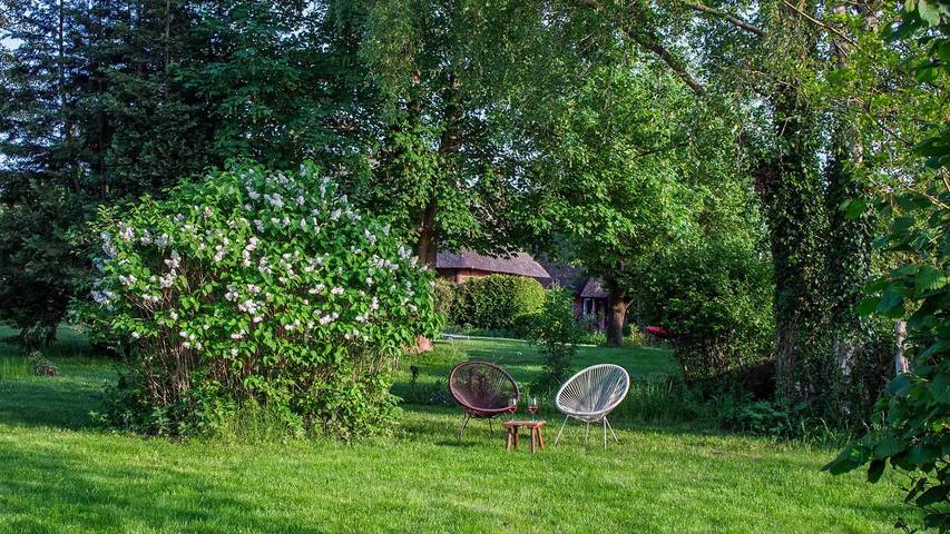 Ferienhaus für 6 Personen, mit Terrasse und Garten in Schashagen - 2