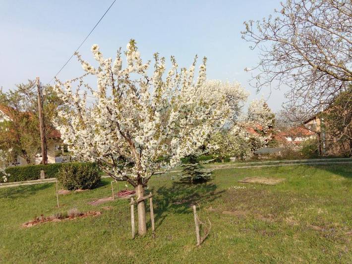 Ferienwohnung für 8 Personen, mit Garten und Ausblick sowie Seeblick in Balatonalmadi - 2