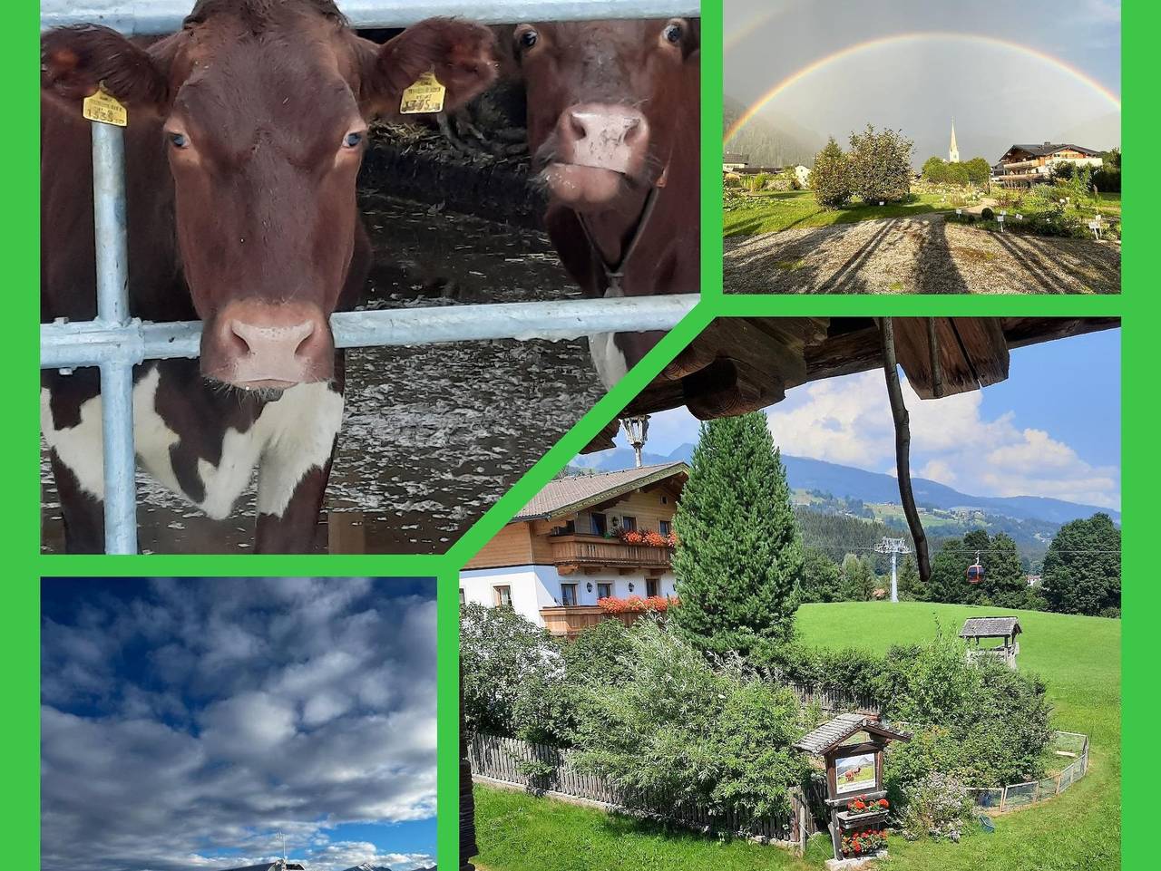 Lahnhof in Hollersbach im Pinzgau, Kitzbüheler Alpen