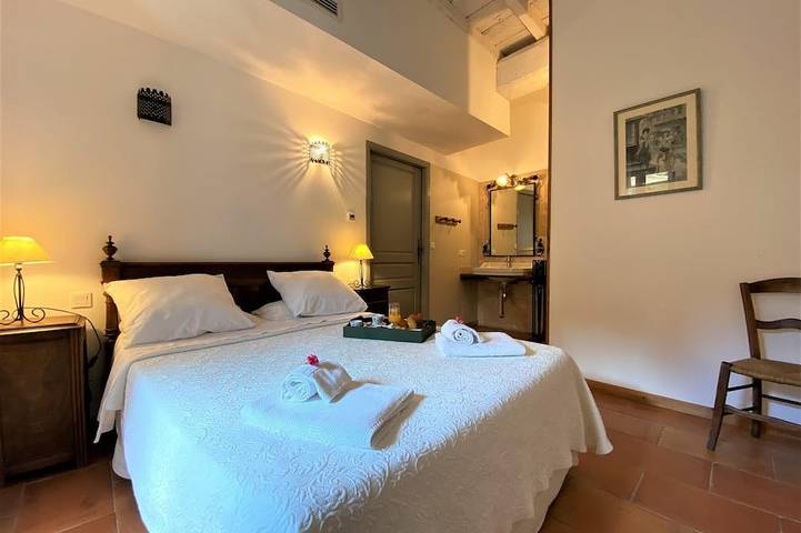 Gîte pour 10 personnes, avec jardin et jacuzzi, animaux acceptés à Saint-Papoul - 4