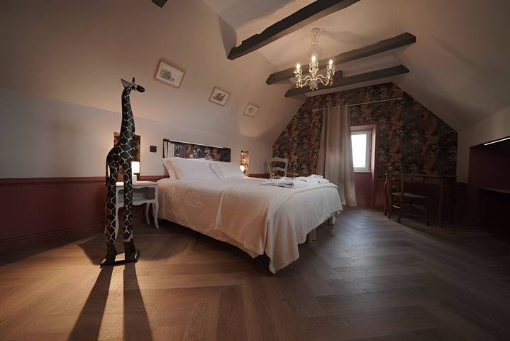 Gîte pour 4 personnes, avec jardin et terrasse à Salles-la-Source - 4