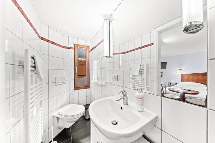 Hôtel pour 4 personnes, avec jardin, animaux acceptés à Fribourg - 3