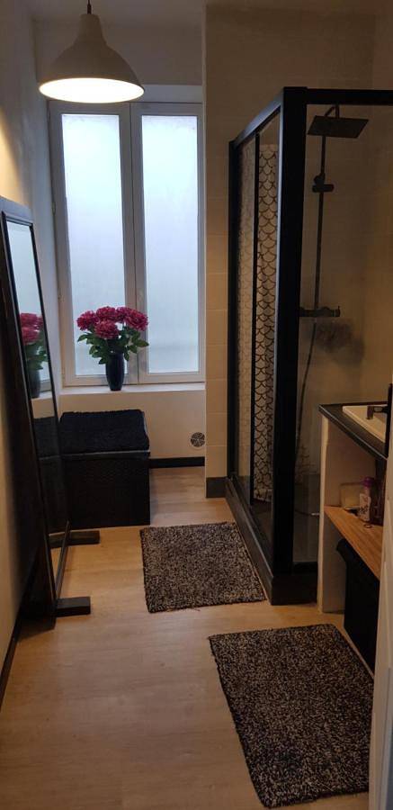 Gîte pour 2 personnes, avec jardin et terrasse, animaux acceptés à Panazol - 4