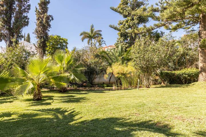 Gîte pour 4 personnes, avec jardin à Caniço - 3