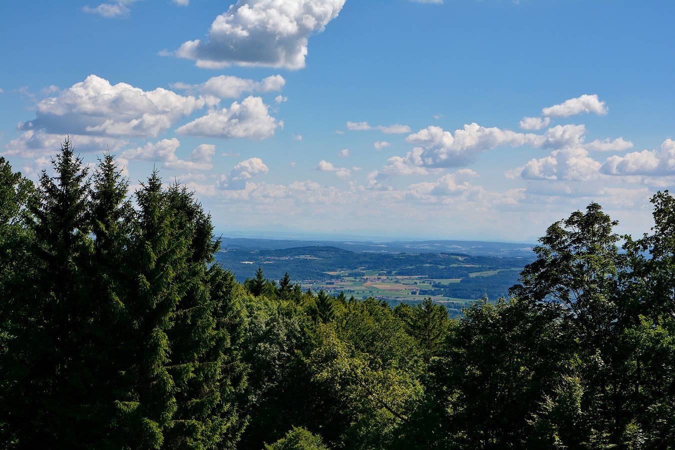 Landhaus am Büchelstein - Landhaus am Büchelstein in Grattersdorf, Oost-Beieren