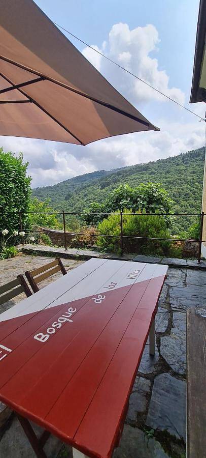 Apartamento de vacaciones para 3 personas, con jardín además de vistas y sauna en Asturias - 2