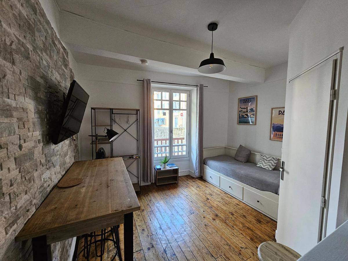Appartement entier, Le Henri Iv - hyper centre - quartier du château in Pau, Béarn