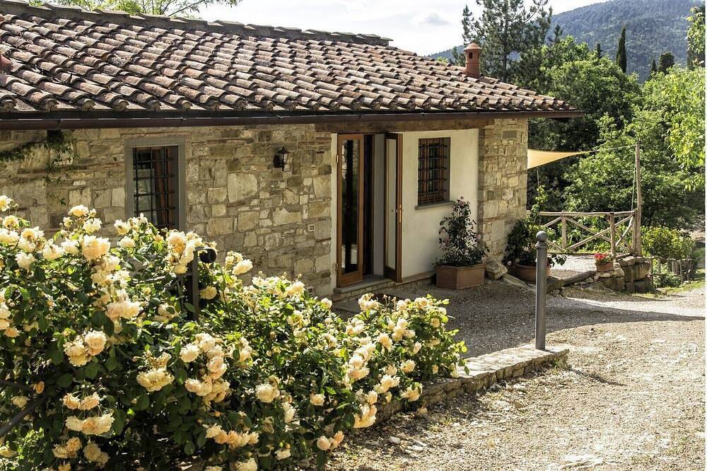 Vineyard cottage, 30 minutes to Florence in Pelago, Chianti